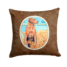 Load image into Gallery viewer, Chesapeake Bay Retriever Throw Pillow - 14x14 Decorative Pillow – Art for Your Home &amp; Patio 7112PW1414