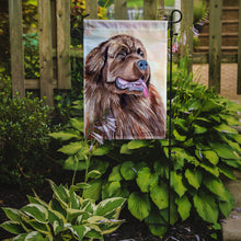 Load image into Gallery viewer, Chocolate Brown Newfie Newfoundland Garden Flag – Decorative Outdoor Yard Flag