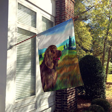 Load image into Gallery viewer, Sussex Spaniel Flag Canvas House Size