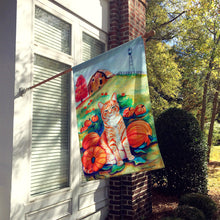 Load image into Gallery viewer, Tabby Cat in the pumpkins Flag Canvas House Size