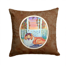 Load image into Gallery viewer, Collie Throw Pillow - 14x14 Decorative Pillow – Art for Your Home &amp; Patio 7147PW1414