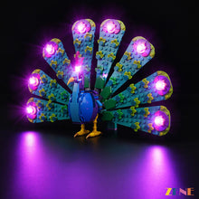 Load image into Gallery viewer, Light Kit for LEGO Exotic Peacock #31157