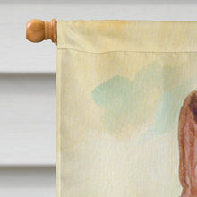 Load image into Gallery viewer, Red and White Boston Terrier Flag Canvas House Size