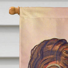 Load image into Gallery viewer, Papillon Flag Canvas House Size