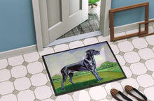 Load image into Gallery viewer, Great Dane Doormat Doormat - Large 24x36 – Indoor/Outdoor Floor Mat