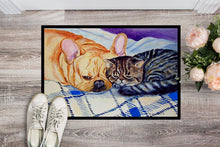 Load image into Gallery viewer, Cat Doormat Doormat - Large 24x36 – Indoor/Outdoor Floor Mat