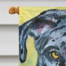 Load image into Gallery viewer, Great Dane Apollo Flag Canvas House Size 7306CHF