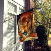 Load image into Gallery viewer, Irish Setter Serious Flag Canvas House Size 7315CHF