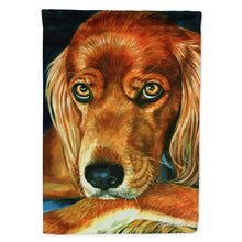 Load image into Gallery viewer, Irish Setter Serious Flag Canvas House Size 7315CHF