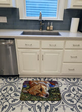 Load image into Gallery viewer, Corgi Pastel Butterfly Machine Washable Memory Foam Mat 7325RUG