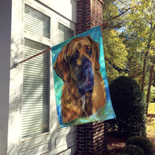 Load image into Gallery viewer, Fila Brasilerio Flag Canvas House Size 7378CHF