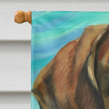 Load image into Gallery viewer, Fila Brasilerio Flag Canvas House Size 7378CHF