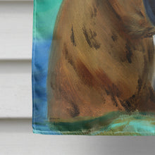 Load image into Gallery viewer, Fila Brasilerio Flag Canvas House Size 7378CHF