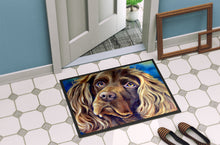 Load image into Gallery viewer, Boykin Spaniel Doormat - 18x27 Decorative Floor Mat – Indoor/Outdoor Rug with Artistic Flair 7402MAT