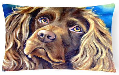 Boykin Spaniel Fabric Decorative Pillow 7402PW1216