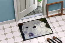 Load image into Gallery viewer, Great Pyrenees Contemplation Doormat - 24x36 Decorative Floor Mat – Indoor/Outdoor Rug