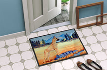 Load image into Gallery viewer, Great Dane Doormat Doormat - Large 24x36 – Indoor/Outdoor Floor Mat
