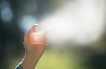 Load image into Gallery viewer, no. 37 cloud • clean perfume •  roll-on or eau de parfum options