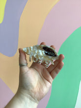 Load image into Gallery viewer, Conch Hair Claw