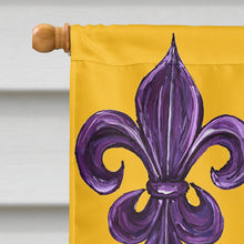 Load image into Gallery viewer, Mardi Gras Flag Canvas House Size