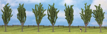 Load image into Gallery viewer, Noch 25098 All Scale Classic Series Deciduous Tree Economy Pack Poplar 4-3/4"