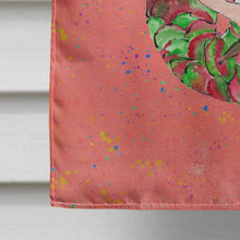 Load image into Gallery viewer, Merman Merman Flag Canvas House Size