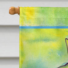 Load image into Gallery viewer, Dolphin  Flag Canvas House Size