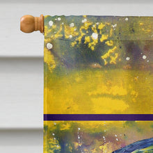Load image into Gallery viewer, Turtle  Flag Canvas House Size