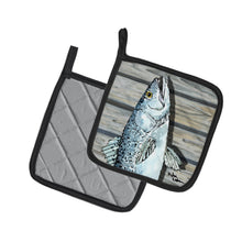 Load image into Gallery viewer, Fish Speckled Trout Pot Holders - Set of 2 Decorative Kitchen Helpers | Made in the USA 8494PTHD