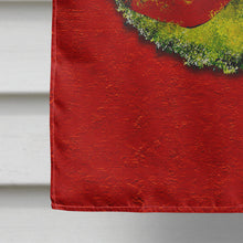 Load image into Gallery viewer, Christmas Wreath Fleur de lis Flag Canvas House Size
