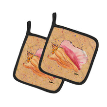 Load image into Gallery viewer, Shells Pot Holders - Set of 2 Decorative Kitchen Helpers | Made in the USA 8522PTHD