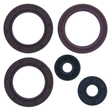 Load image into Gallery viewer, QuadBoss, QuadBoss Oil Seal Set for Can-Am Maverick Trail 700 and Compatible Models - Part 564876