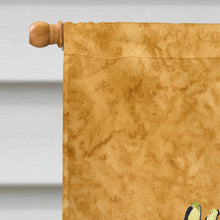 Load image into Gallery viewer, Shell  Flag Canvas House Size