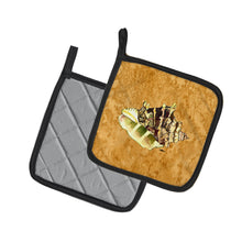 Load image into Gallery viewer, Shell Pot Holders - Set of 2 Decorative Kitchen Helpers | Made in the USA 8658PTHD