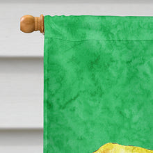 Load image into Gallery viewer, Turtle  Dancing Flag Canvas House Size