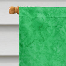 Load image into Gallery viewer, Frog  Flag Canvas House Size