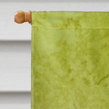 Load image into Gallery viewer, Frog  Flag Canvas House Size