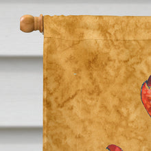 Load image into Gallery viewer, Lobster  Cooked Flag Canvas House Size