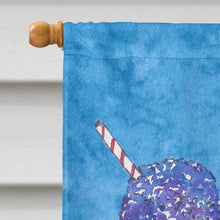 Load image into Gallery viewer, Snowballs and Snowcones Flag Canvas House Size