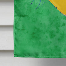 Load image into Gallery viewer, Butterfly Orange on Green Flag Canvas House Size