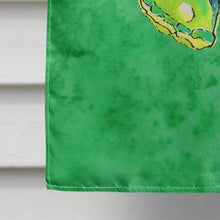 Load image into Gallery viewer, Butterfly Green on Green Flag Canvas House Size