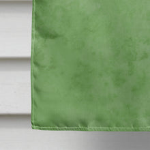 Load image into Gallery viewer, Dragonfly on Avacado Flag Canvas House Size