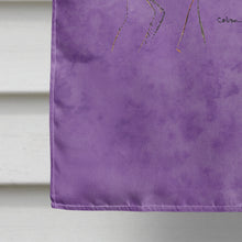 Load image into Gallery viewer, Dragonfly on Purple Flag Canvas House Size
