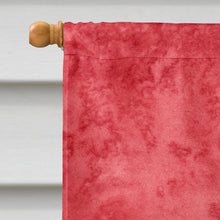 Load image into Gallery viewer, Lady Bug on Red Flag Canvas House Size