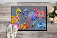 Load image into Gallery viewer, Flamingo Six Senses Doormat - 24x36 Decorative Floor Mat – Indoor/Outdoor Rug