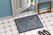 Load image into Gallery viewer, Ants  Doormat - 24x36 Decorative Floor Mat – Indoor/Outdoor Rug