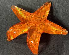 Load image into Gallery viewer, Mandarin Starfish