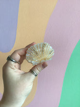 Load image into Gallery viewer, Shell Hair Claw