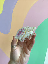Load image into Gallery viewer, Conch Hair Claw