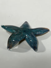 Load image into Gallery viewer, Coronado Sparkle Starfish